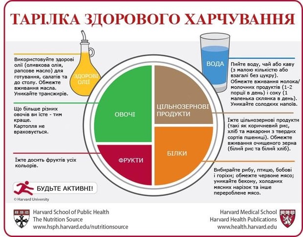ОСНОВА ЗДОРОВОГО СПОСОБУ ЖИТТЯ – ПРАВИЛЬНЕ ХАРЧУВАННЯ